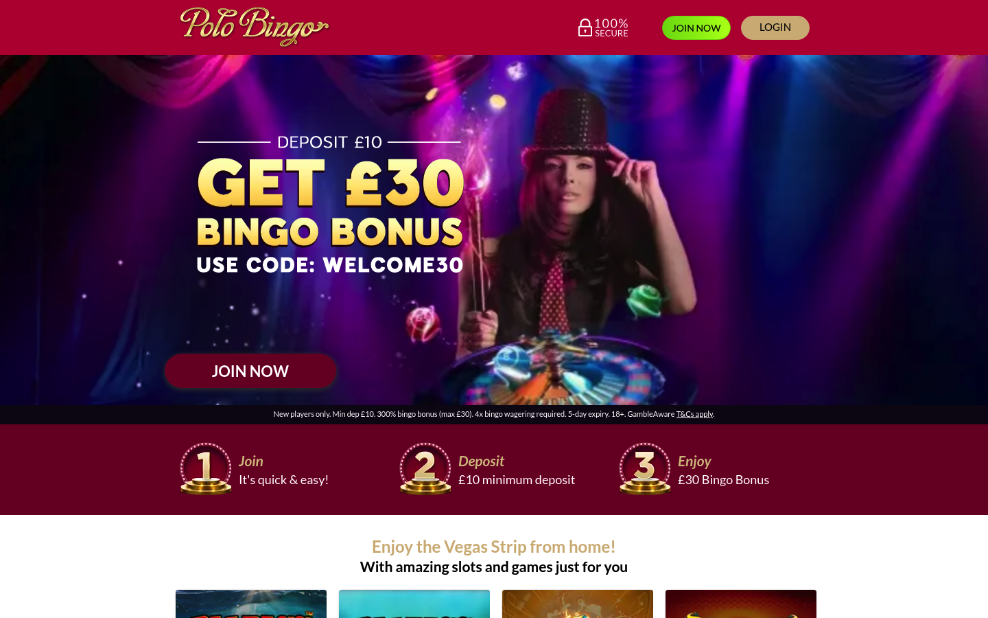 Polo Bingo homepage screenshot