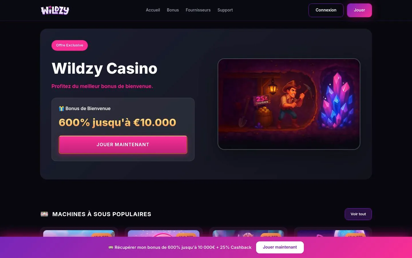wildzy.fr homepage screenshot