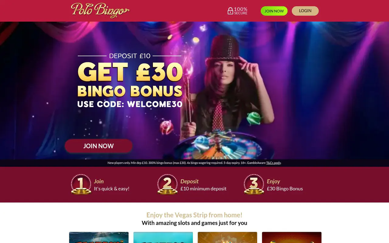 Polo Bingo homepage screenshot