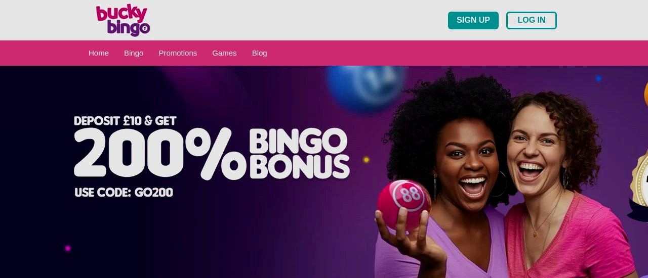 Bucky Bingo Homepage Bucky Bingo homepage