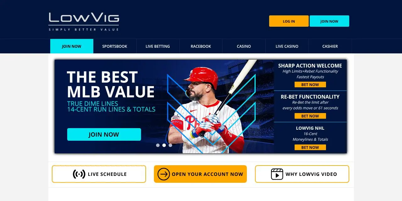 LowVig Homepage screenshot